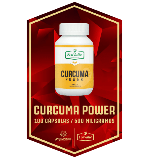 CURCUMA POWER 100 CAPS 500 MG | ECOVALLE